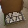 10 pack of GU10 LED lightbulbs 3000k warm white outdoor indoor bulbs porch Image 3