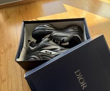 Dior b22