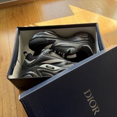 Dior b22