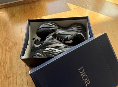 Dior b22