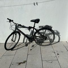City bicycle Large Frame