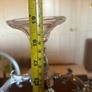 Candelabra Image 3