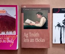 Three Cathal O Searcaigh Irish Books