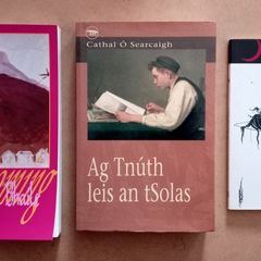 Three Cathal O Searcaigh Irish Books