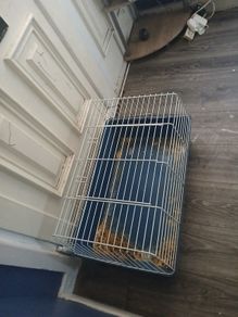 cage