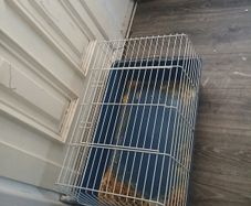 cage