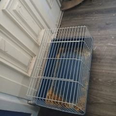 cage