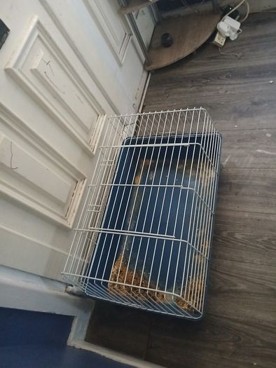 cage