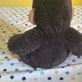teddy Image 4