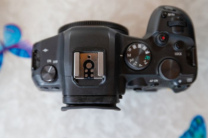 Canon R6, Speedlite Flash & Mount Adapter
