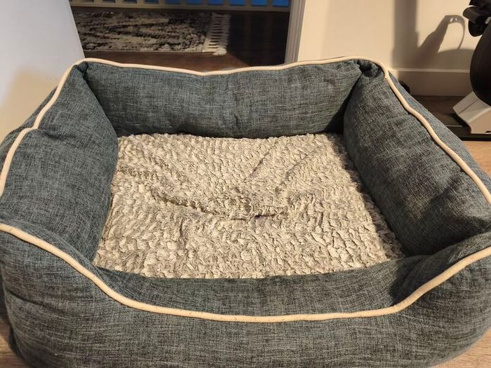 dog bed