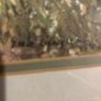 Framed Watercolor Image 9