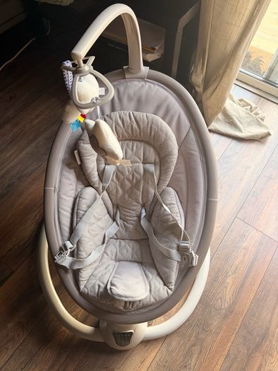 Nested Willow Baby Swing