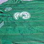 Euro 2012 squad signed ireland jersey,size XL MINT, NEVER WORN Image 5
