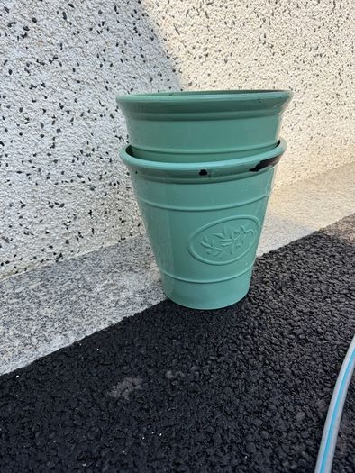 plant pots