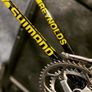 raleigh banana Image 6
