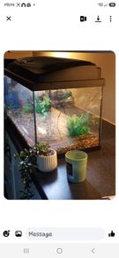 fish tank