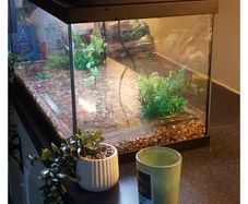 fish tank