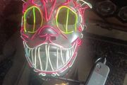 led mask