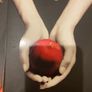 Twilight DVD box set and books Image 7