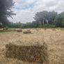 square bales of hay Image 3