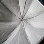 Lastolite Umbrella Kit Image 2