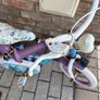 frozen bike Image 3