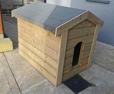 dog kennel