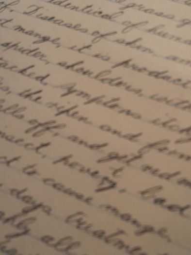 two hand written books