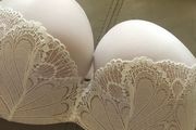 wonderbra