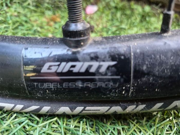 Giant Road Bike TCR ultegra