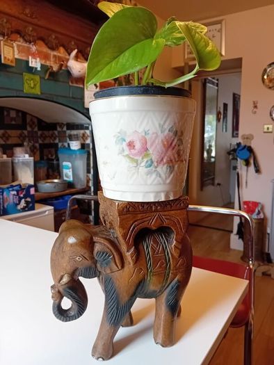 Vintage hardwood elephant plant stand
