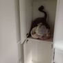IKEA Smastad wardrobe Image 7