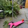 Micro scooter with seat Image 3