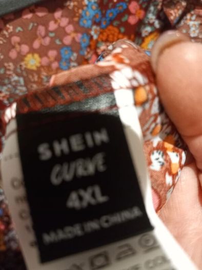 BN curve top 4xl