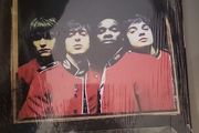 The Libertines the best of red vinyl limited edition