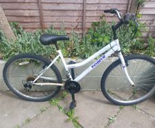 ladies bike