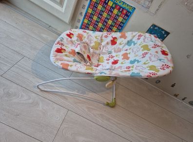 Baby Bouncer