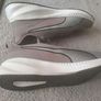 puma Image 3