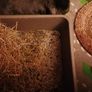 Organic rabbit compost for organic gardening 2 bags Image 7