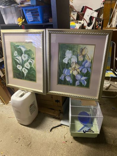 pair of large pictures