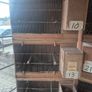 Single breeding cages Image 2