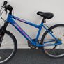17" Bicycle Image 4