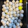 50 Titleist (Prov1) Golf Balls Image 3