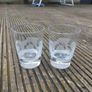 baileys glasses Image 2