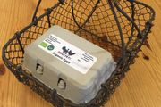 Avoca-Style Wire Egg Basket AS NEW