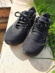 Nike Zoom Pegasus