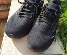 Nike Zoom Pegasus