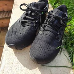 Nike Zoom Pegasus