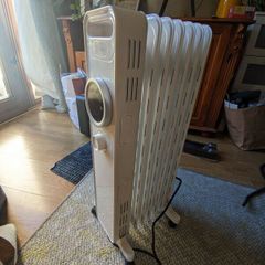 Blyss Electric Heater Oil-filled Plug-In